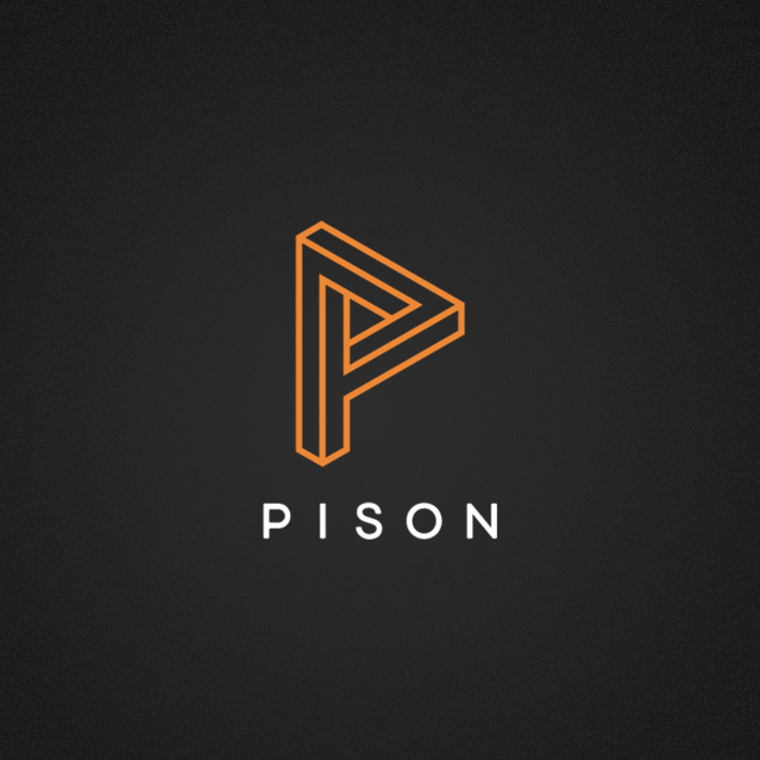 Pison Technology